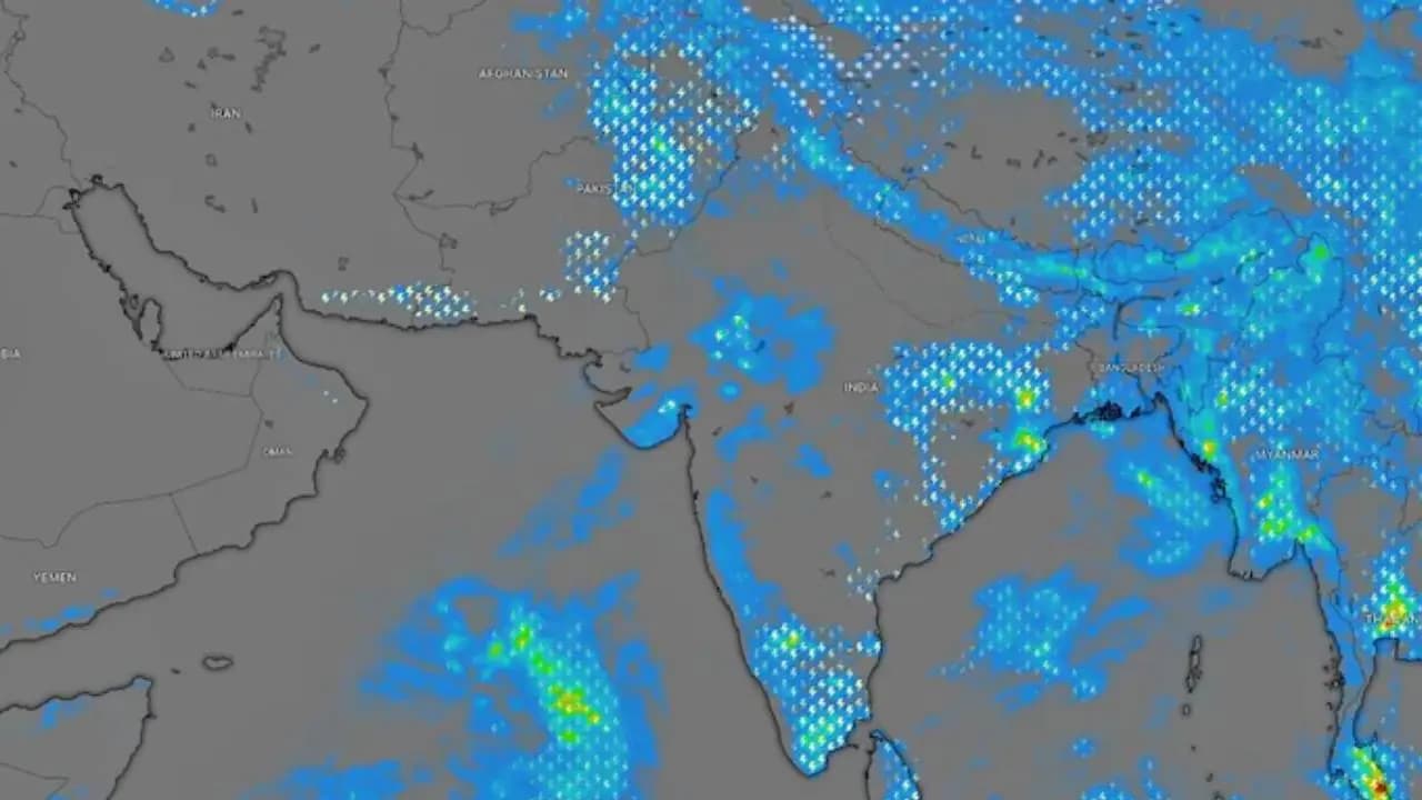 Monsoon Makes a Comeback
