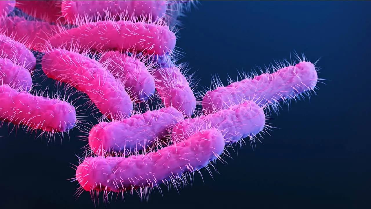 Shigella Outbreak: Five killed, 133 cases so far in June as Shigella outbreak worsens in Kerala