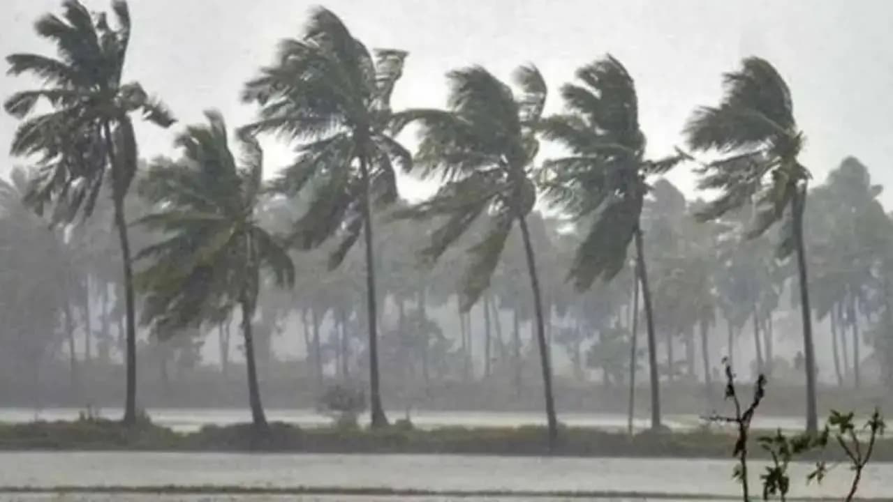 Successive deaths due to lightning strikes in two districts