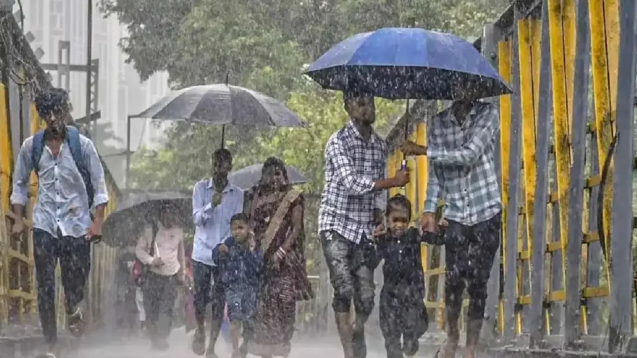 IMD Weather Update today
