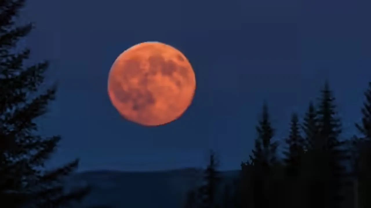 Full moon remedy