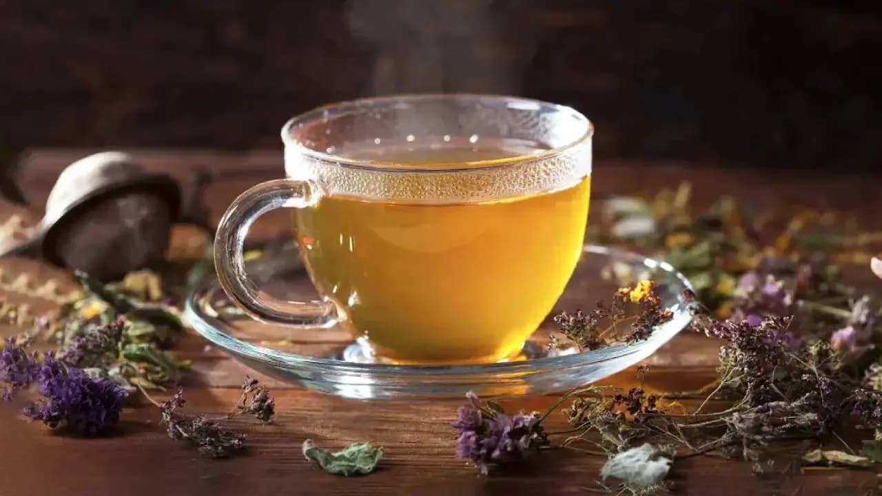 Health Benefits of Betel Leaf Herbal Drink: Home Remedy for Cough and Pain Relief