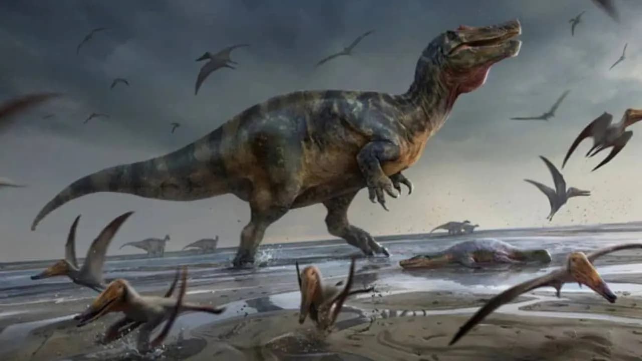 Megalosaurus Fossil History: How a 1676 Dinosaur Discovery Was Mistaken for a Giant Elephant