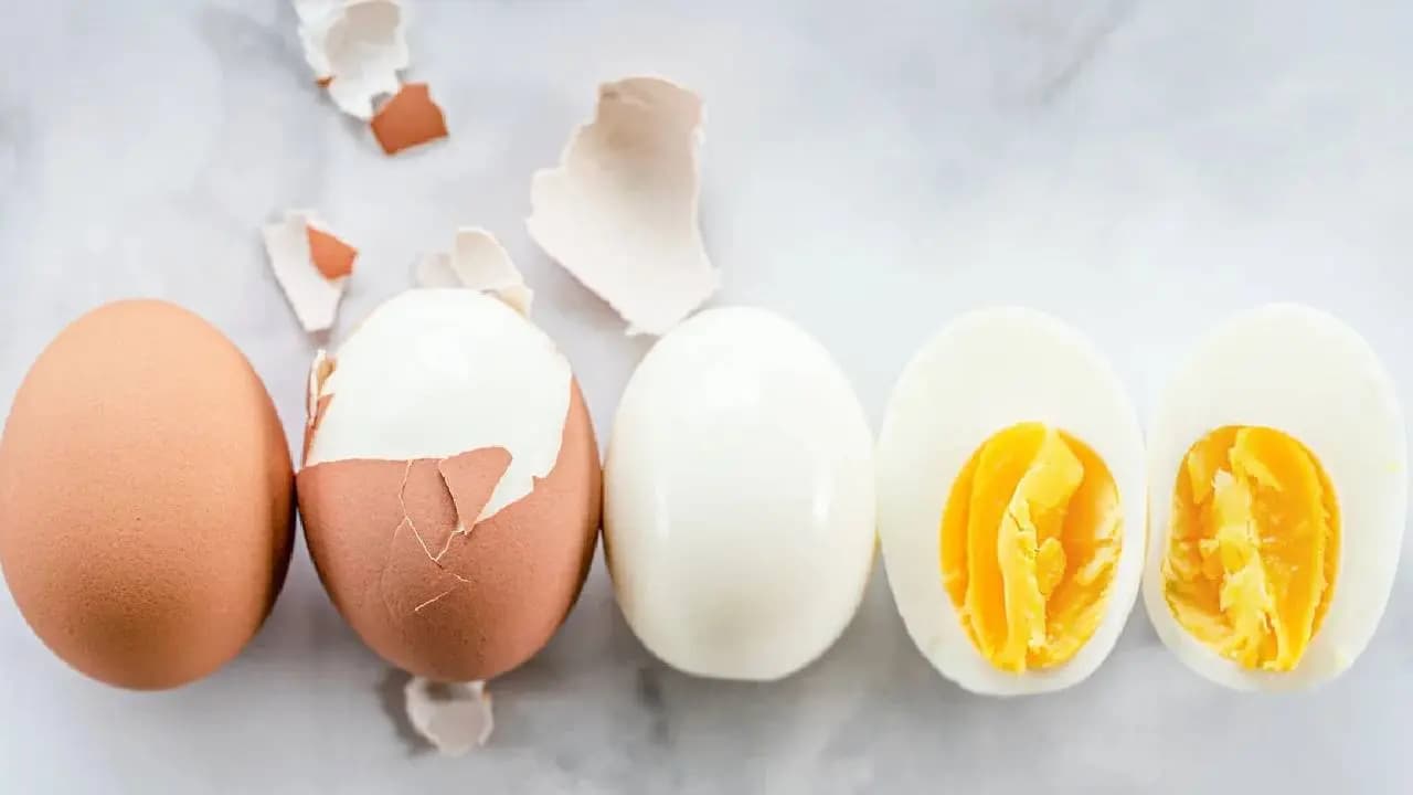 Egg Vegetarian or Non Vegetarian