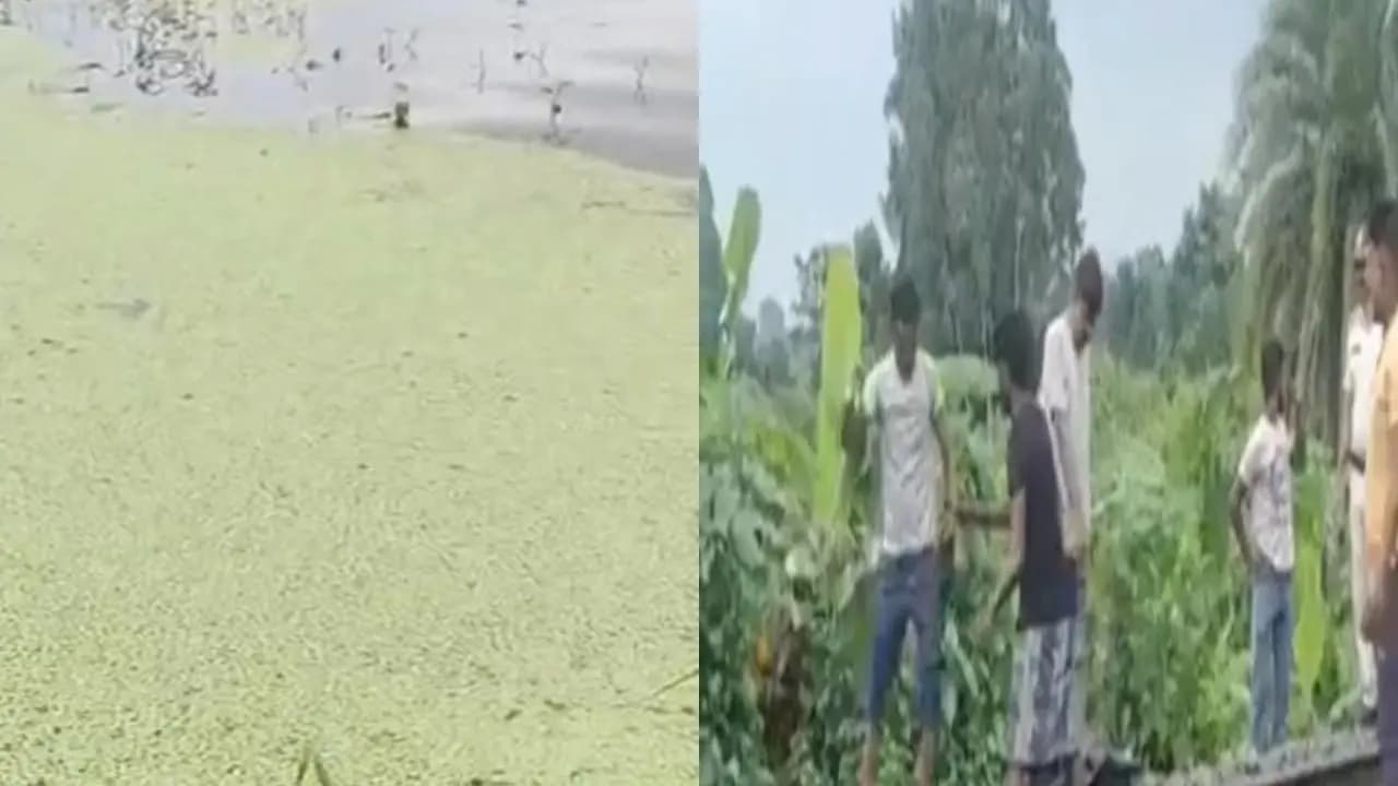 Baruipur Murder case big update
