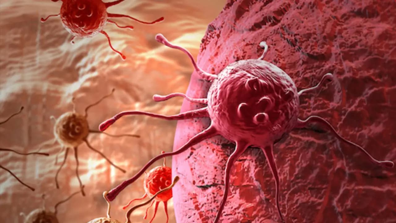 Cancer cases may double by 2050 who warns about lifestyle change
