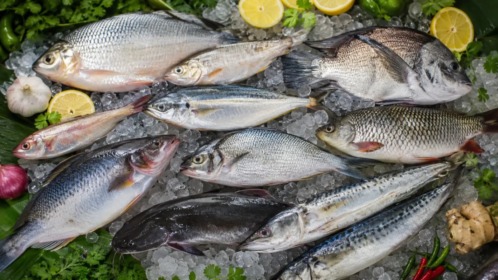 Best Fish for Heart Health: 10 Fishes to Lower Bad Cholesterol many health benefits available in Bengal