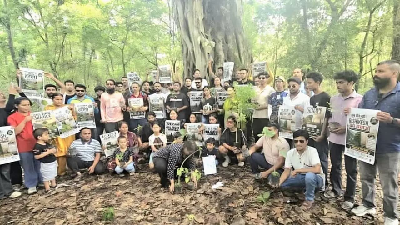 Uttarakhand Tree Felling
