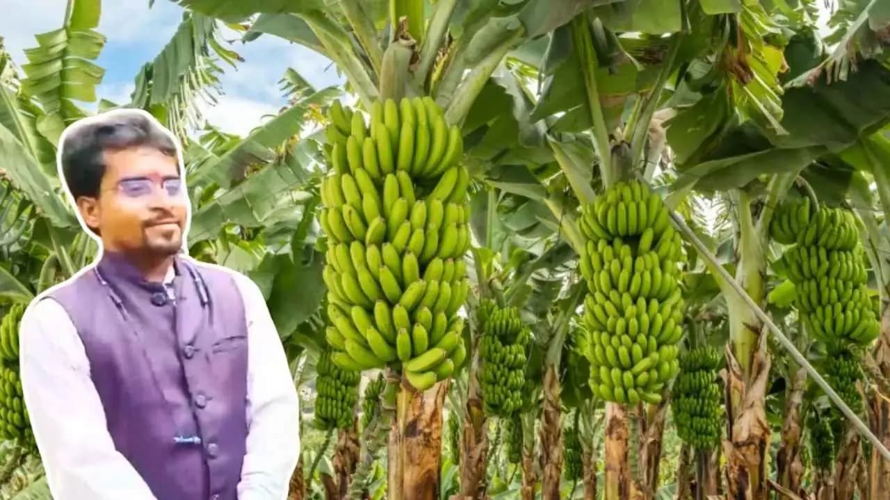 Trending News: Who is Bipin Kumar Jha? What is his success story?