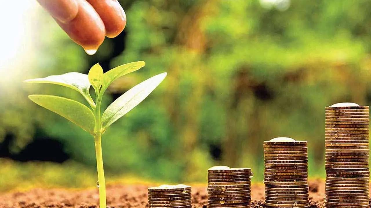 KVP vs NSC: How Interest is Taxed and How to Report It in Your ITR
