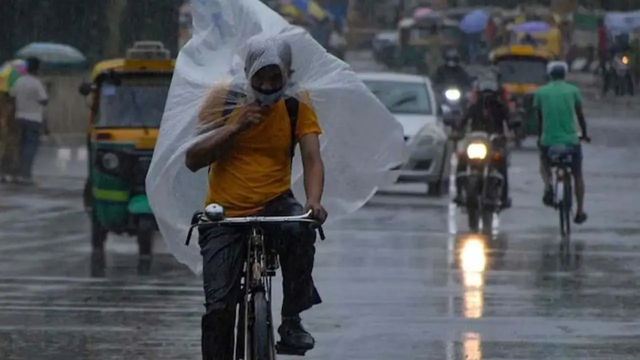West Bengal Weather: Heavy Rainfall Lashed South Bengal, North Bengal, IMD Forecasts Heavy Rainfall, Thunderstorms Warning in 11 Districts on August 1