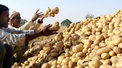 Potato Price Hike: দীর্ঘ আলোচনার পর অবশেষে উঠলো আলু ব্যবসায়ীদের ধর্মঘট। বৃহস্পতিবার থেকে রাজ্যের বাজারে আলুর যোগান স্বাভাবিক হবে। বৈঠকে সিদ্ধান্ত হয়েছে বুধবার রাত থেকেই হিম ঘর থেকে আলু বেরোনো শুরু হয়ে যাবে। 