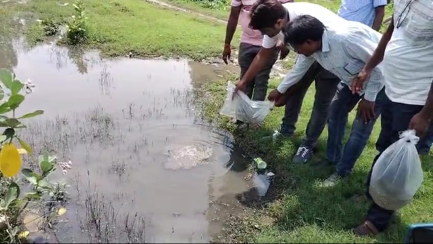 Dengue: এদিন ফারাক্কা ব্লকের ন'টি গ্রাম পঞ্চায়েত এলাকায় প্রায় আড়াই লক্ষ গাপ্পি মাছ ছাড়া হল।