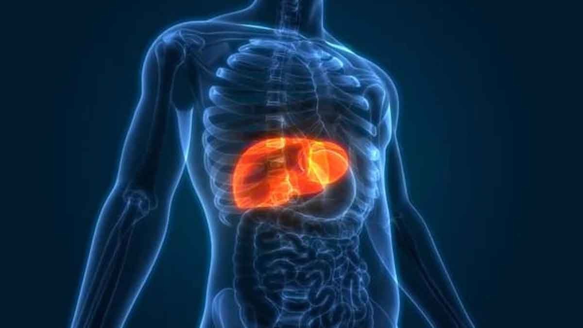 Unknowingly by doing all these  habits can make  your liver unhealthy