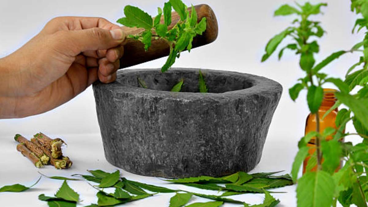 this home made Tulsi drink can boost your immune system make you healthy and energetic keeps you away from many dieases