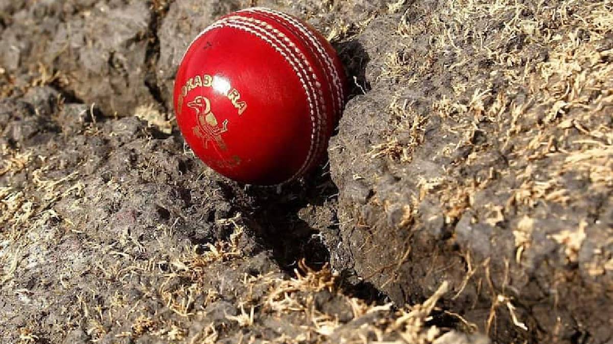 perth test wicket condition