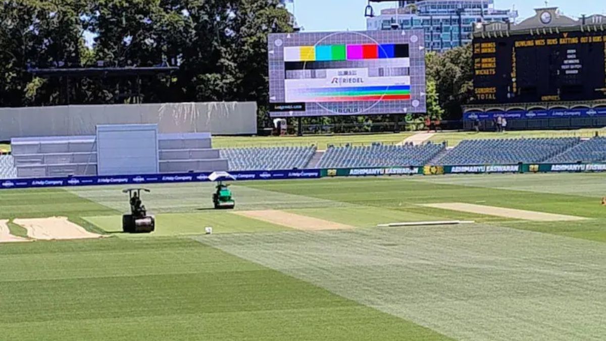 Around 6 mm grass in Adelaide pitch, says pitch curator   