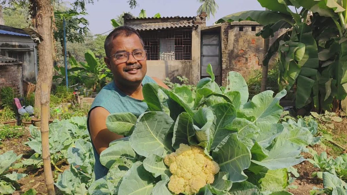 This man from Bardhaman is growing vegetables on his roof without any pesticide