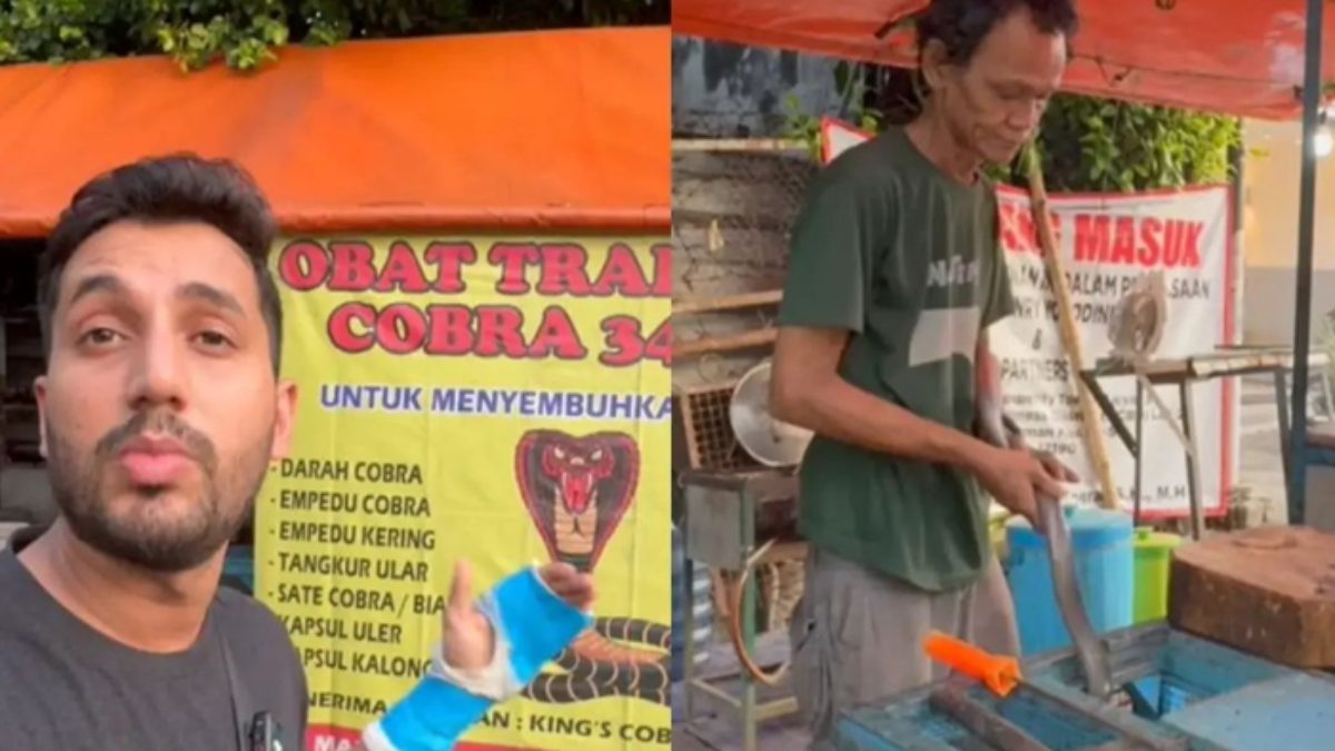 Viral Video of Indonesian people eating cobra meat has gone viral gnr