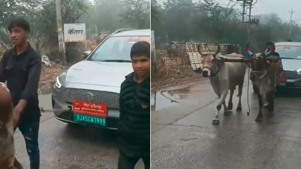 Viral Video of two oxen pulling a electric car after breakdown in Rajasthan