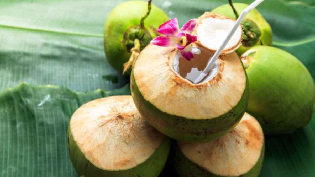  Coconut water is also effective for winter season prevent from many dieases 