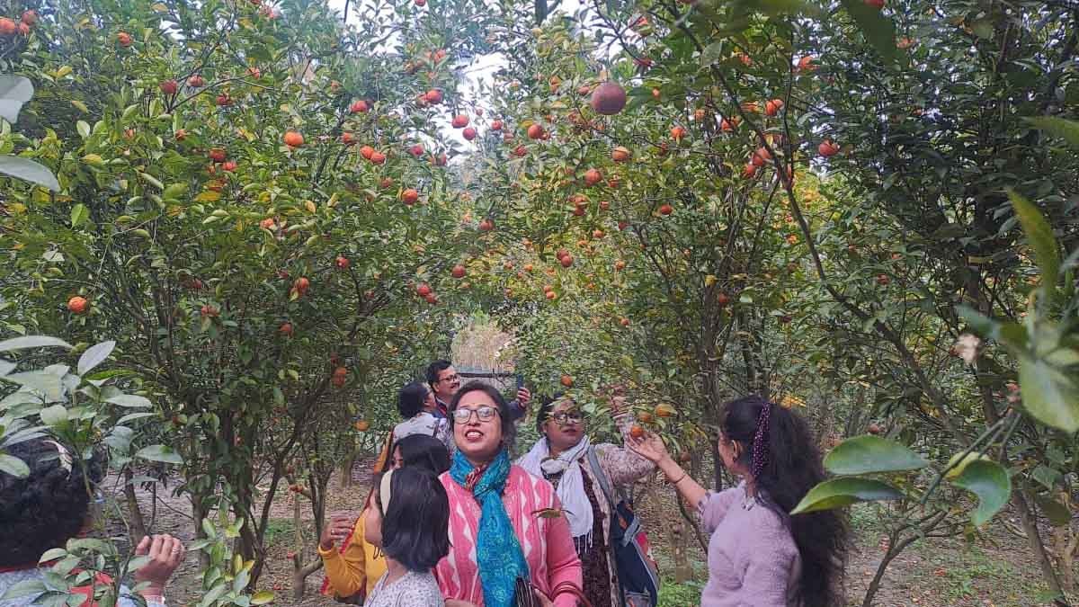 orange garden at ashoknagar