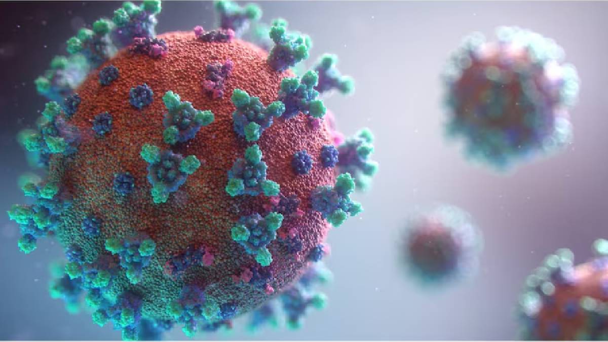 hmpv virus, india on high alert