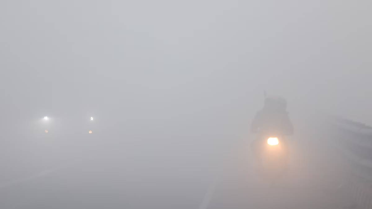 dense fog in delhi