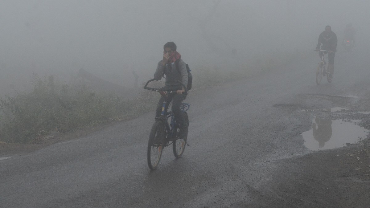 IMD Weather Update: Dense fog warning, clod wave to continue in several parts of India