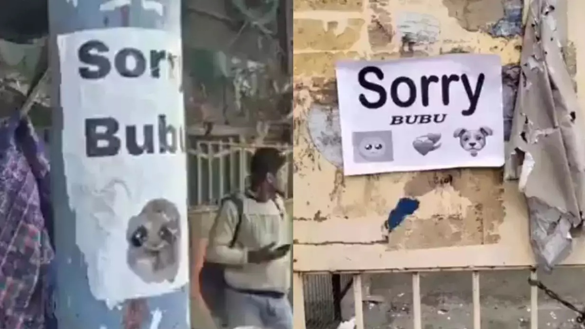 Mysterious Sorry Bubu poster seen in various places in Uttar Pradesh