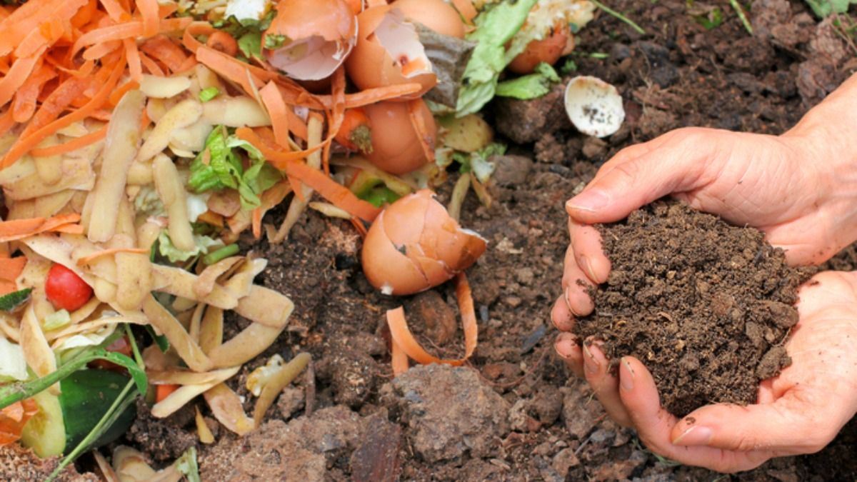 How to re-cycle and use kitchen waste to grow your garden lif